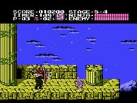 une photo d'Ã©cran de Shadow Warriors sur Nintendo Nes